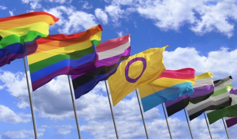 Several LGBT flags with the sky in the background.